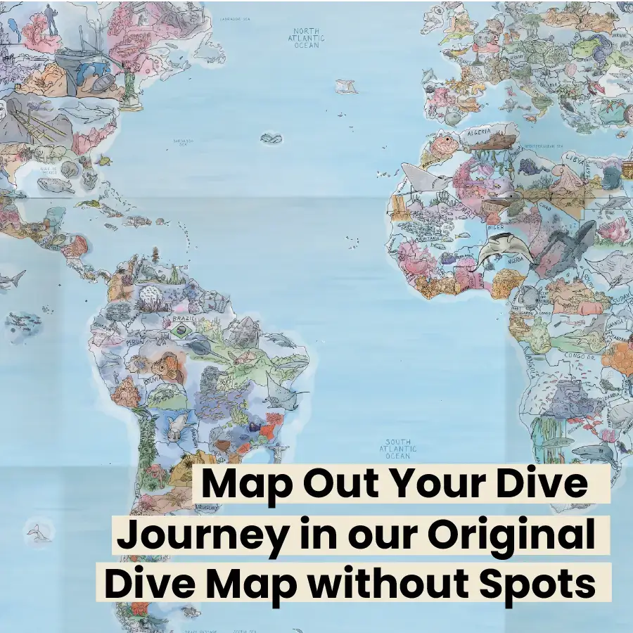 Dive Logbook - Image 7