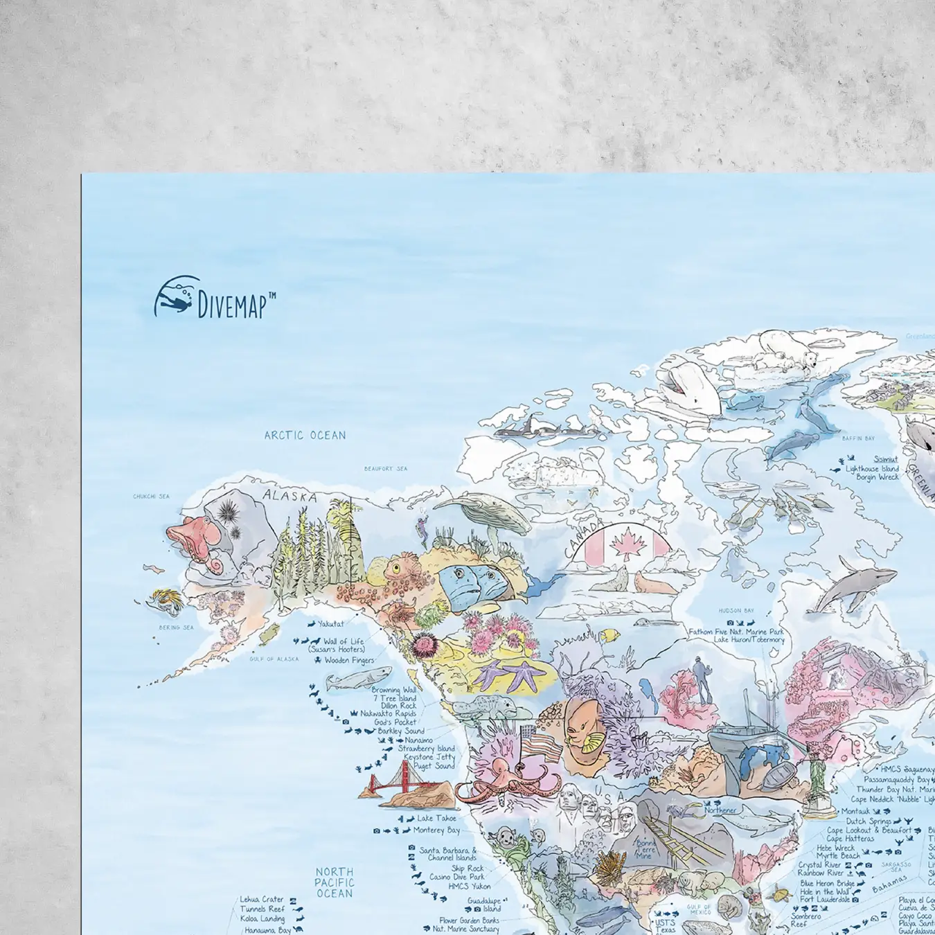 Dive Map - Image 12