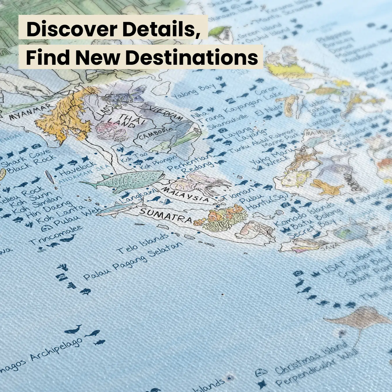 Dive Map - Image 28