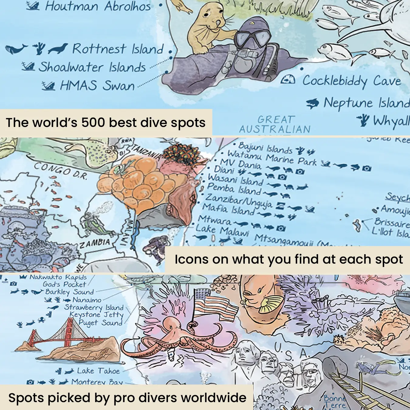 Dive Map - Image 6